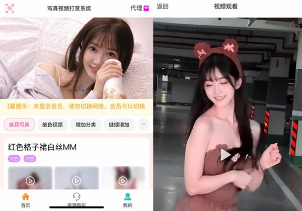 2024最新美女写真图片视频打赏系统源码美女视频写真图片大全网站打赏系统源码全开源无加密完整可用-魅力源码