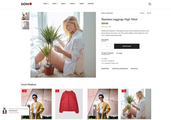 外贸服装行业商城系统源码跨境电商购物网站b2c响应式独立站源码wordpress独立站源码-魅力源码