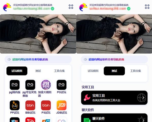 网址软件分类导航系统/软件下载源码,APP分发站引导,导航页平台-站点导航-魅力源码